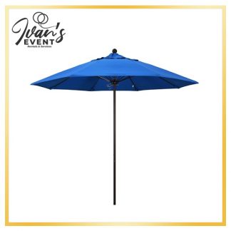 Umbrella Blue