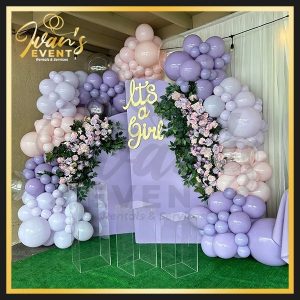 It's a Girl Decoration