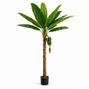 Artificial Banana Palm Tree, faux palm tree rental, fake banana tree Los Angeles, tropical event decor LA, artificial plant rentals California, event props Los Angeles, paradise theme party rentals, jungle theme decor hire, botanical rentals LA
